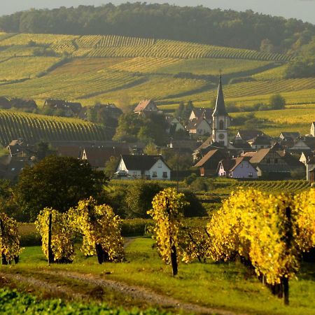 Le Cigogneau-Studio Alcove Au Calme Sainte-Croix-en-Plaine Экстерьер фото